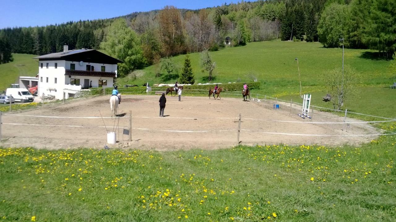 Apartments Im Almhaus Bachler Gundisch Zewnętrze zdjęcie